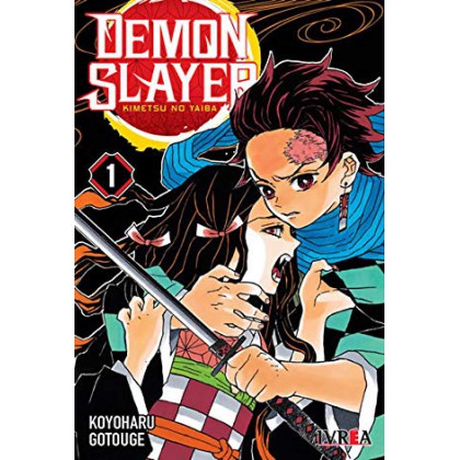 Demon Slayer Kimetsu No Yaiba 01 